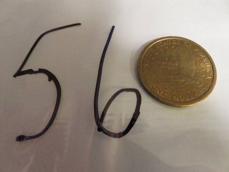 Sacagawea Dollar Coin
