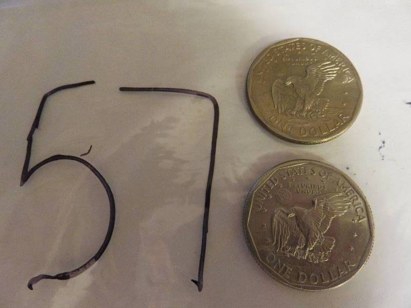 Lot of (2) Dollar Coins