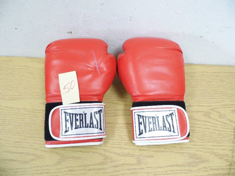 Everlast Boxing Gloves