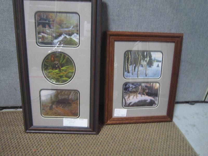 NEW 2 WILDLIFE PICTURES
