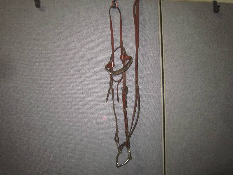LEATHER AND METAL HORSE BRIDLE