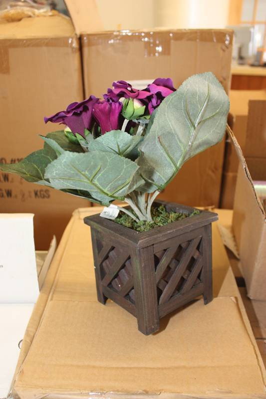 Potted Silk Plant