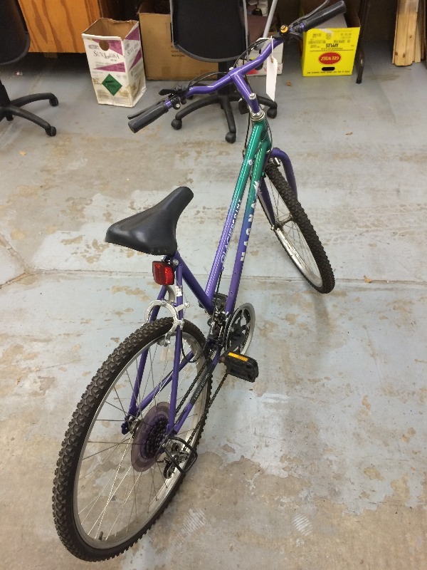 10 speed girls bike