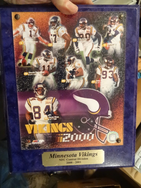 Viking plaque NFC central division 2000-2001