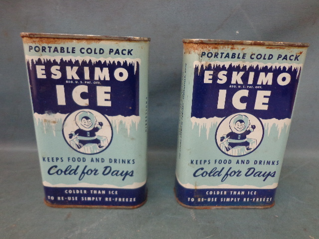 lot 3 image: Thermaster Cooler & Cold Packs