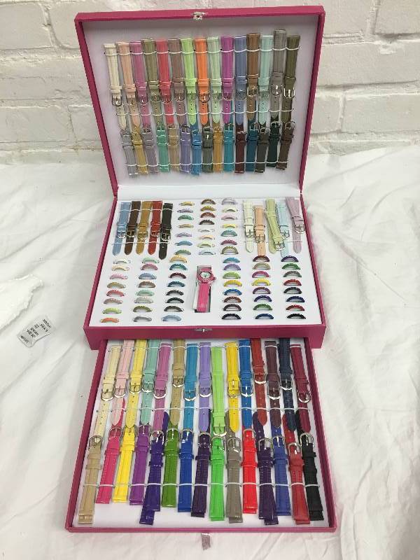 Girls Ashley Princess Interchangeable Watch Set
