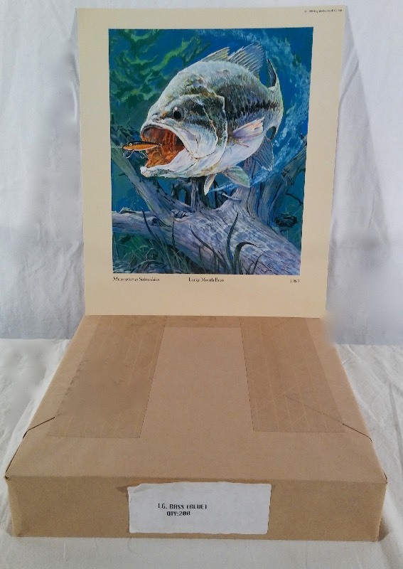 Large Mouth Bass Lithograph Prints sold as an Individual lot of quantity 200 prints (print size 12.5 x 10.5)