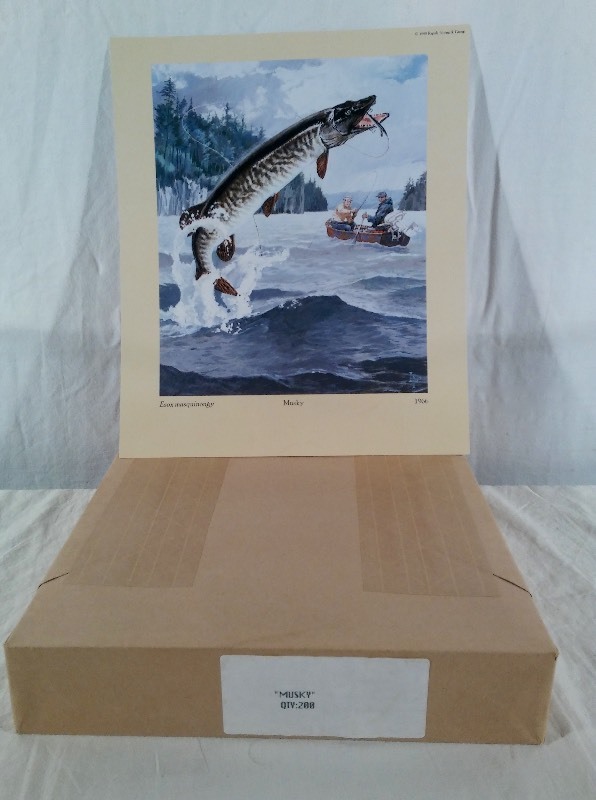 Musky Lithograph Prints sold as an Individual lot of quantity 200 prints (print size 10.5 x 12.5)