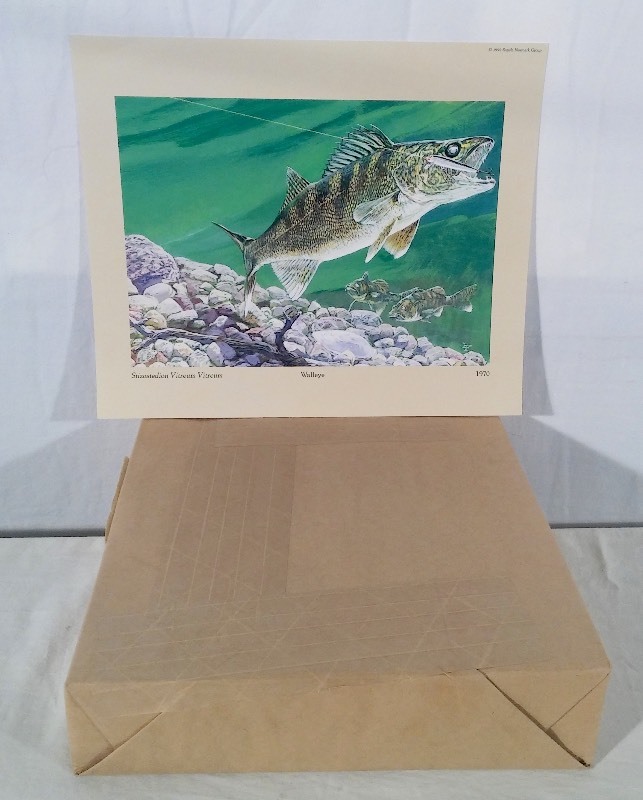 Walleye Lithograph Prints sold as an Individual lot of quantity 200 Prints (print size 12.5 x 10.5)