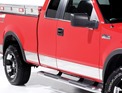 Ford Side Moldings