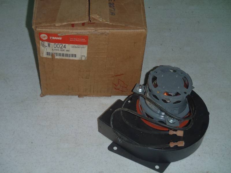 Blower Motor