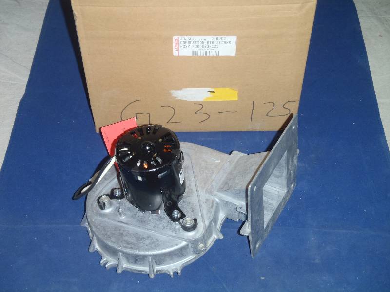 Blower Motor