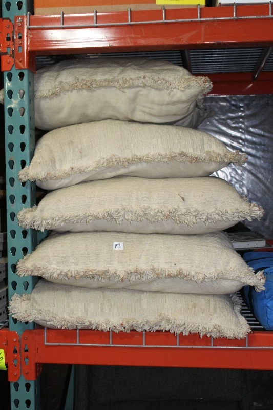 Large Decorative Pillows