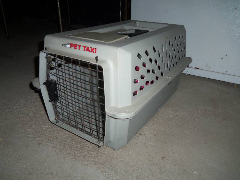 Pet Kennel