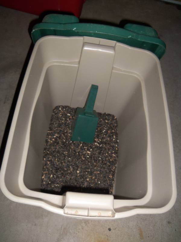 Bird Seed