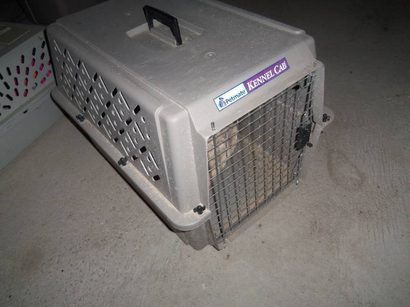 Pet Kennel