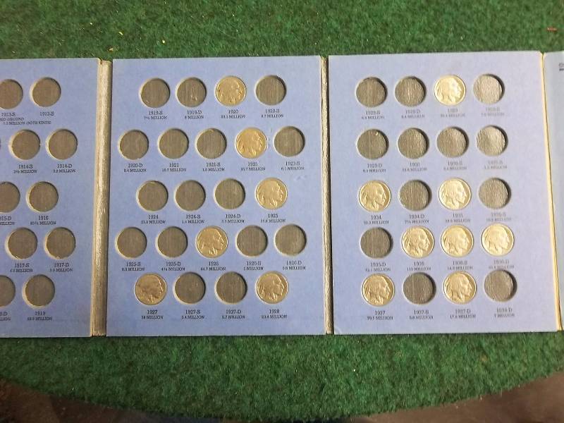Buffalo Nickels