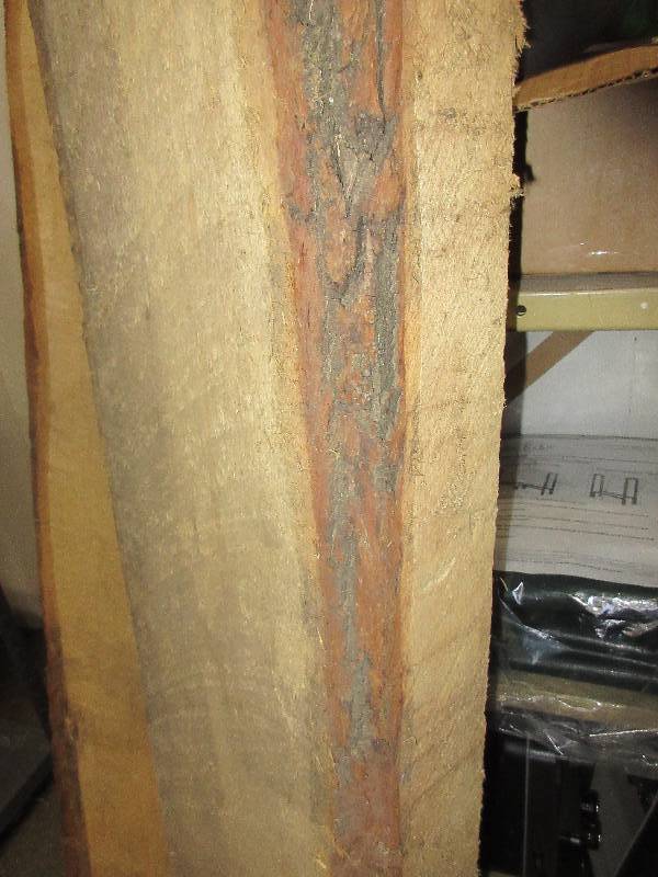 Wood Carvers  Artists  Lot of Bass Wood