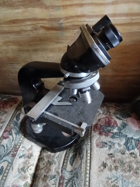 lot 24 image: Nikon Microscope Missing Eye Lenses
