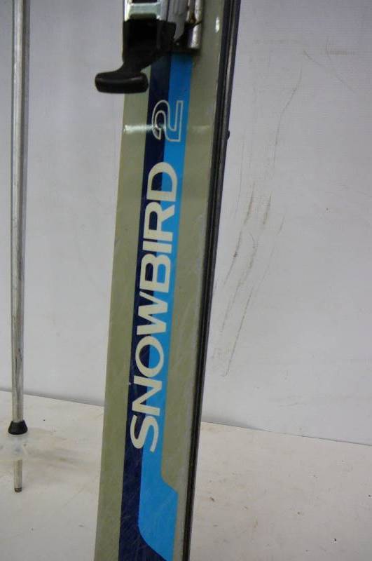 lot 33 image: Cross Country Skis and Poles