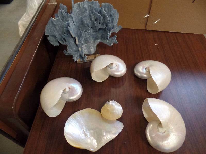 Items from the Sea
