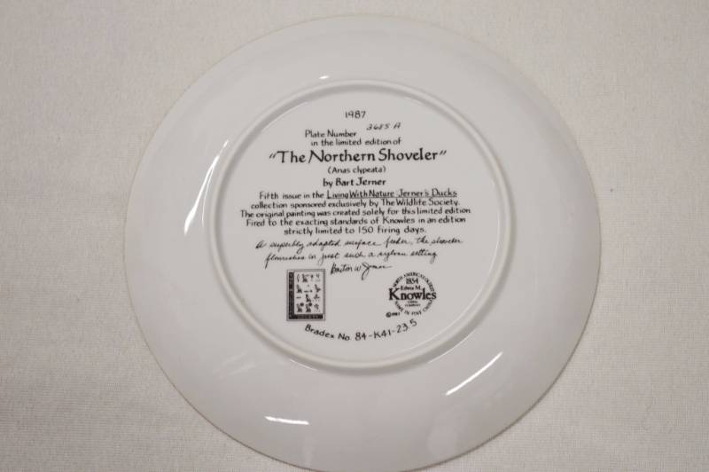 The Northern Shoveler Collectors Plate