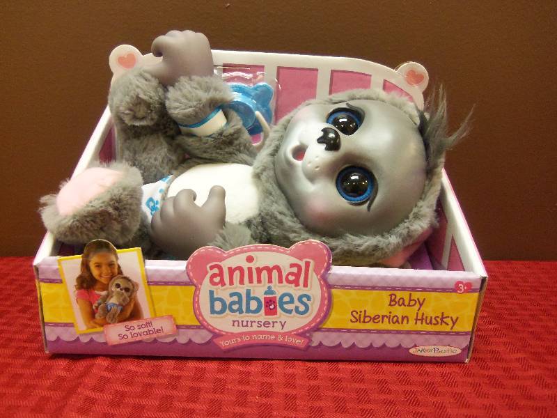 lot 129 image: Animal Babies Nursery Baby Siberian Husky
