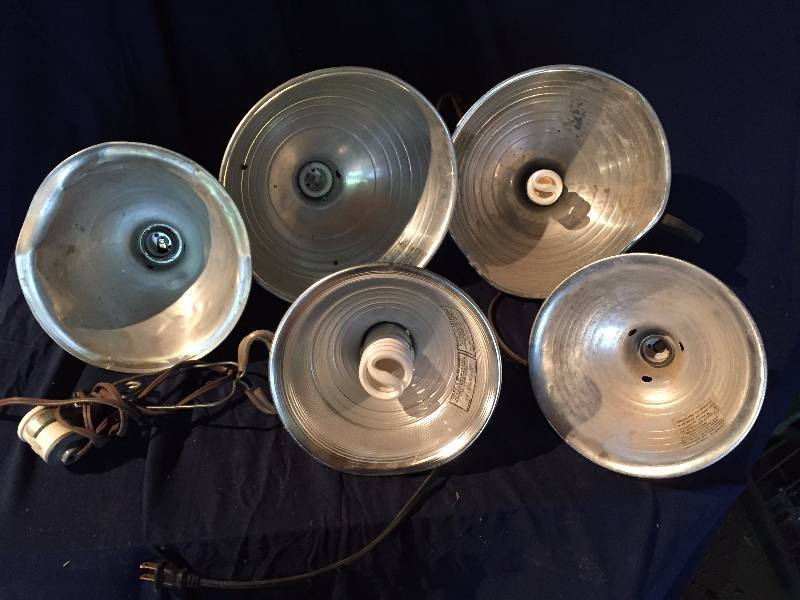 Lot of Heat Lamps