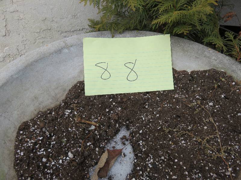Outdoor Planter Urn