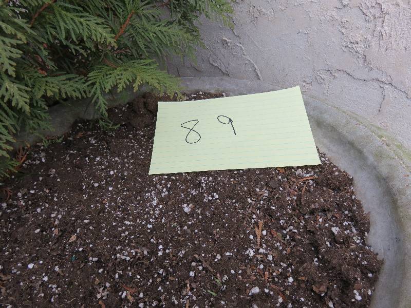Outdoor Planter Urn