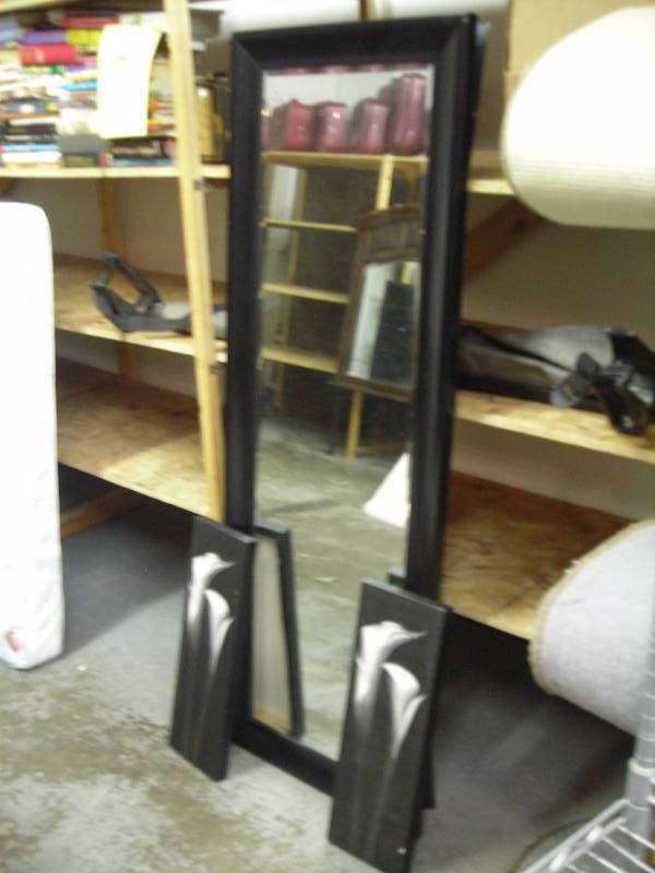 2-Botanical Pictures 8 x 24, Beveled Glass Mirror 23 x 66