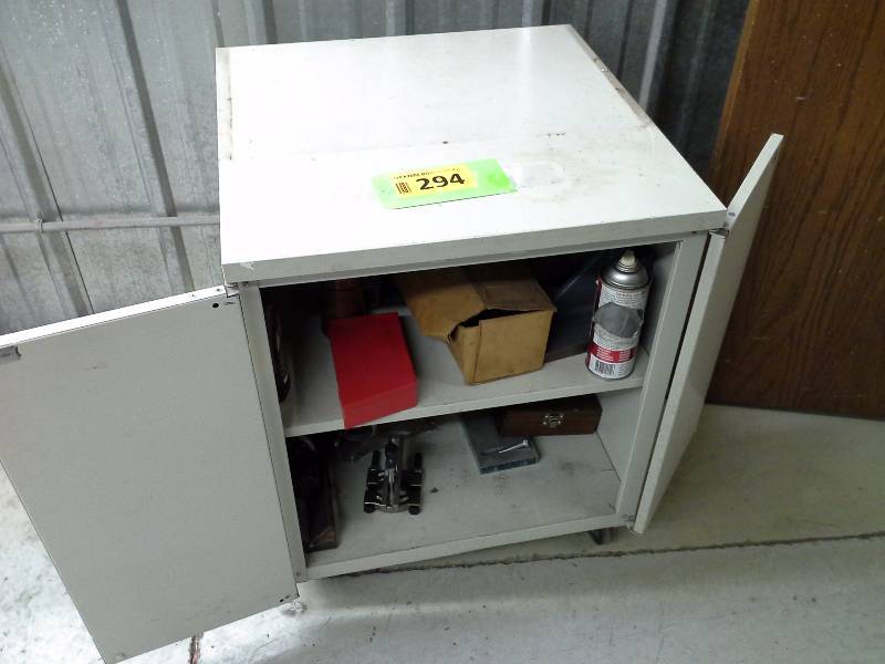 Small cabinet with closing doors, no contents included