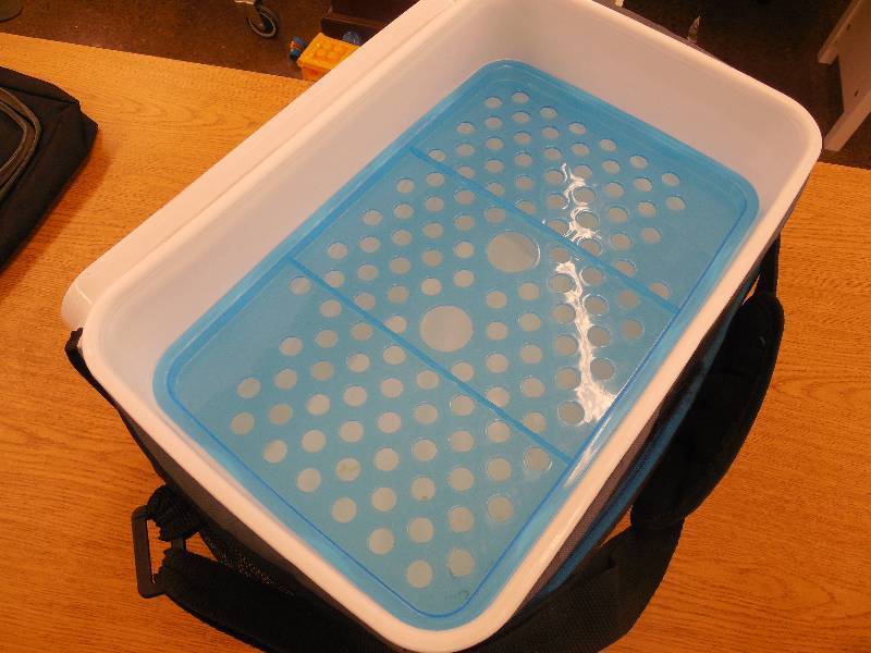 lot 58 image: Arctic Zone Cooler