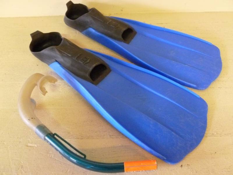 Swimming Fins