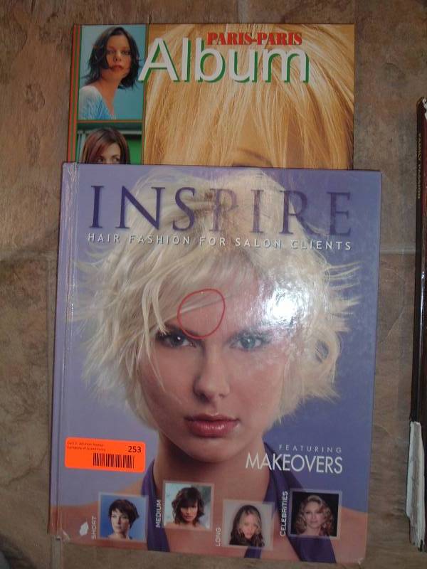 lot 253 image: Style Books  2