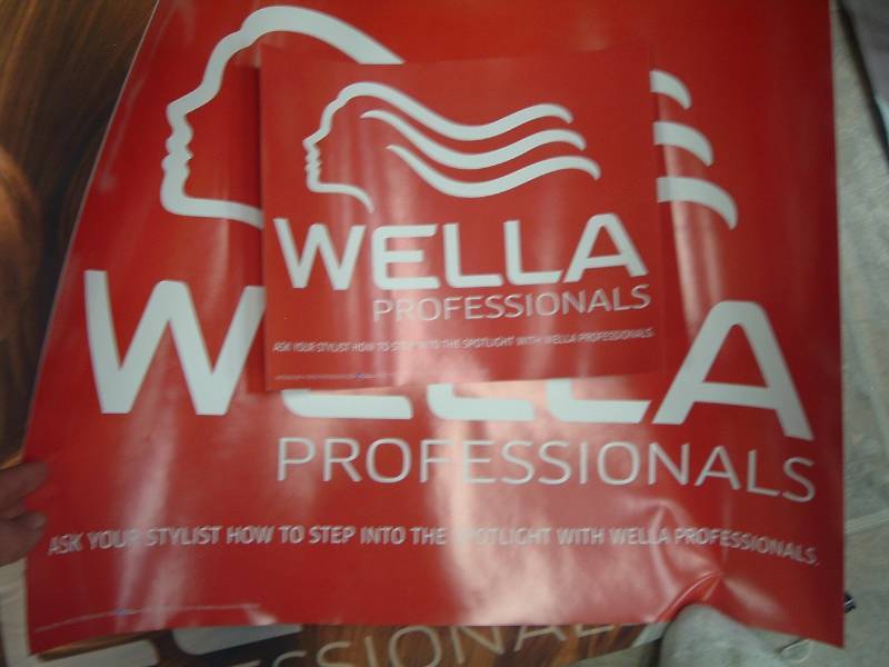 lot 469 image: Wella Posters (red) and 2 Sided hanging vinyl banner