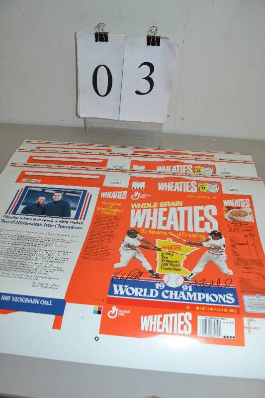 lot 3 image: 1991 World Champions