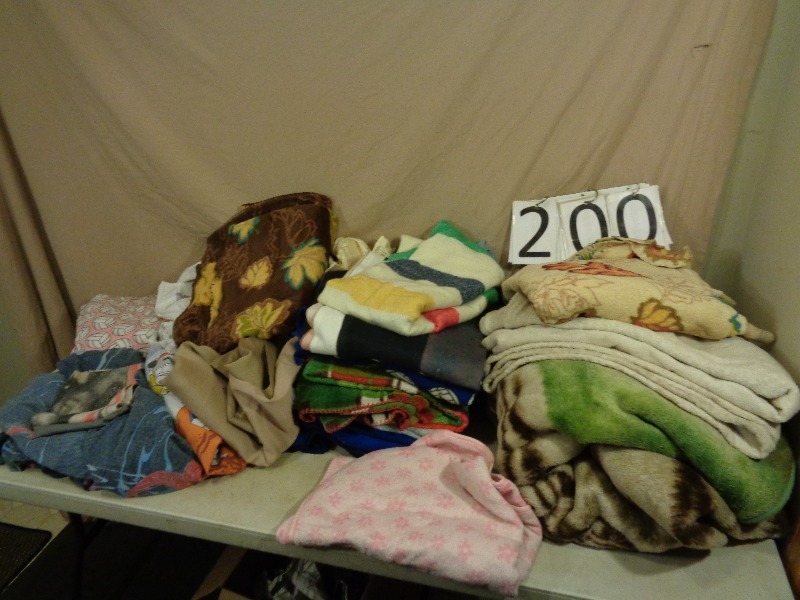 lot 200 image: Assorted Blankets