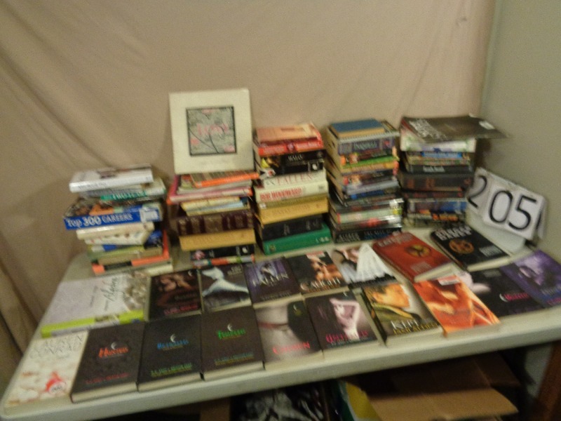 lot 205 image: Hunger Games, Fifty Shades of Grey, Twilight, and More