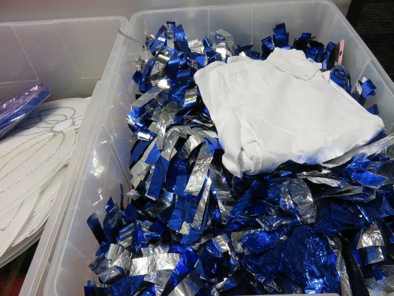 lot 4 image: pom poms and fairy wings