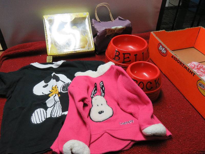 lot 7 image: Peeps lights