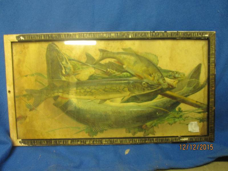 23 x 13 framed fish picture ...