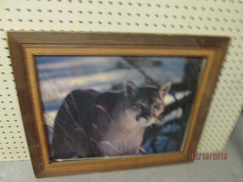 framed vintage picture of large cat...