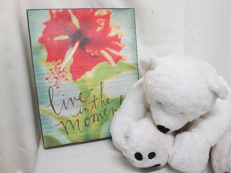 lot 36 image: Live in The Moment plaque, plush wh...