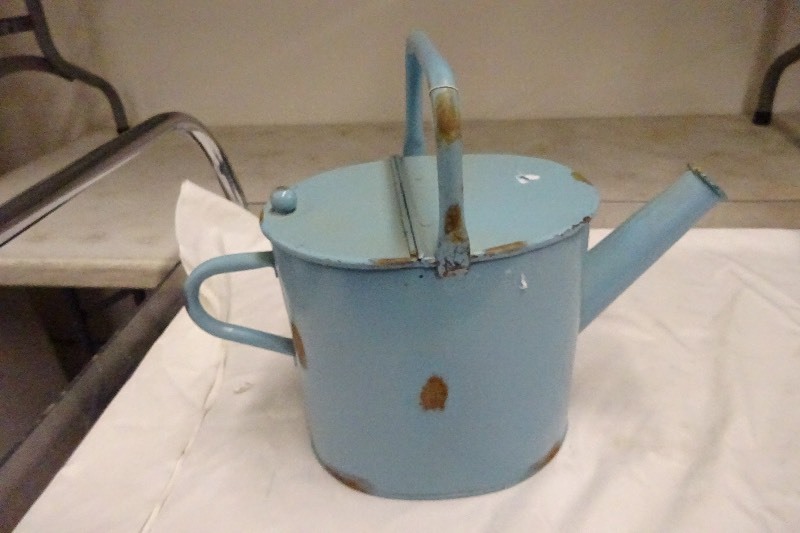Rustic watering can
