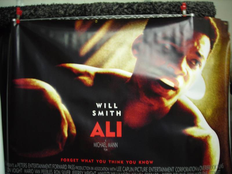 Authentic Vinyl Movie Poster