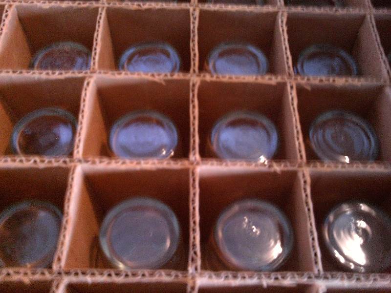 36 count juice glasses