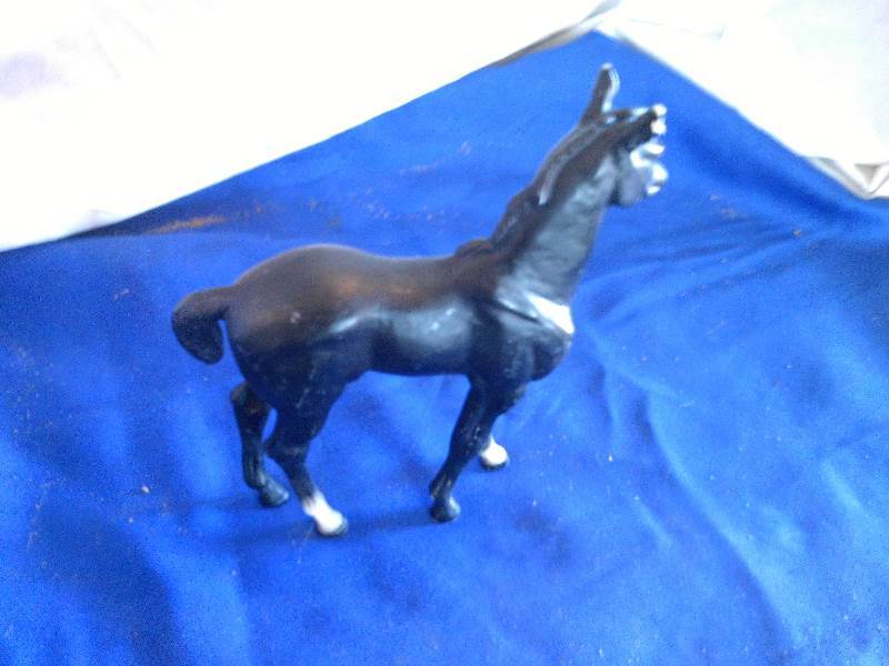 bryer horse