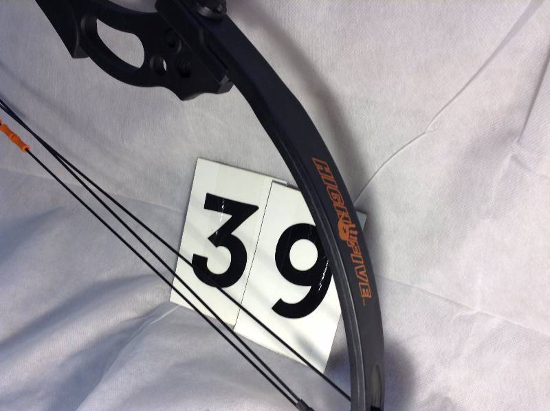Hunting Bow