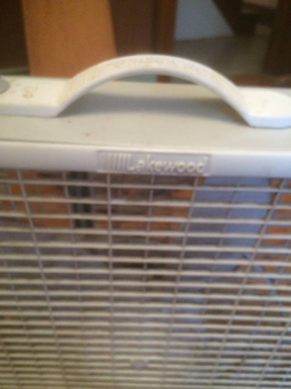 Fan